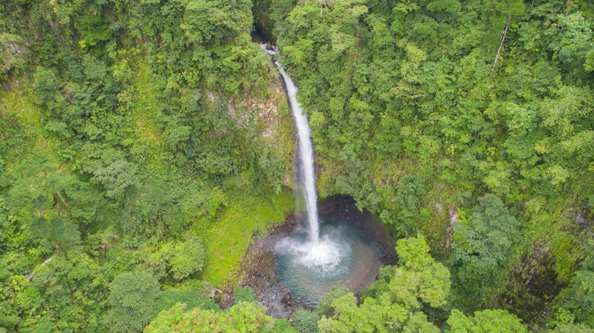 Wasserfall von oben mit saftigem Grün rundherum