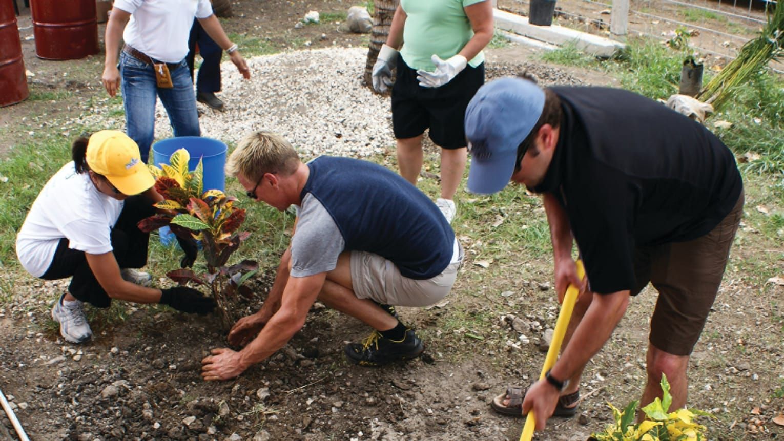 Experiencias de voluntariado