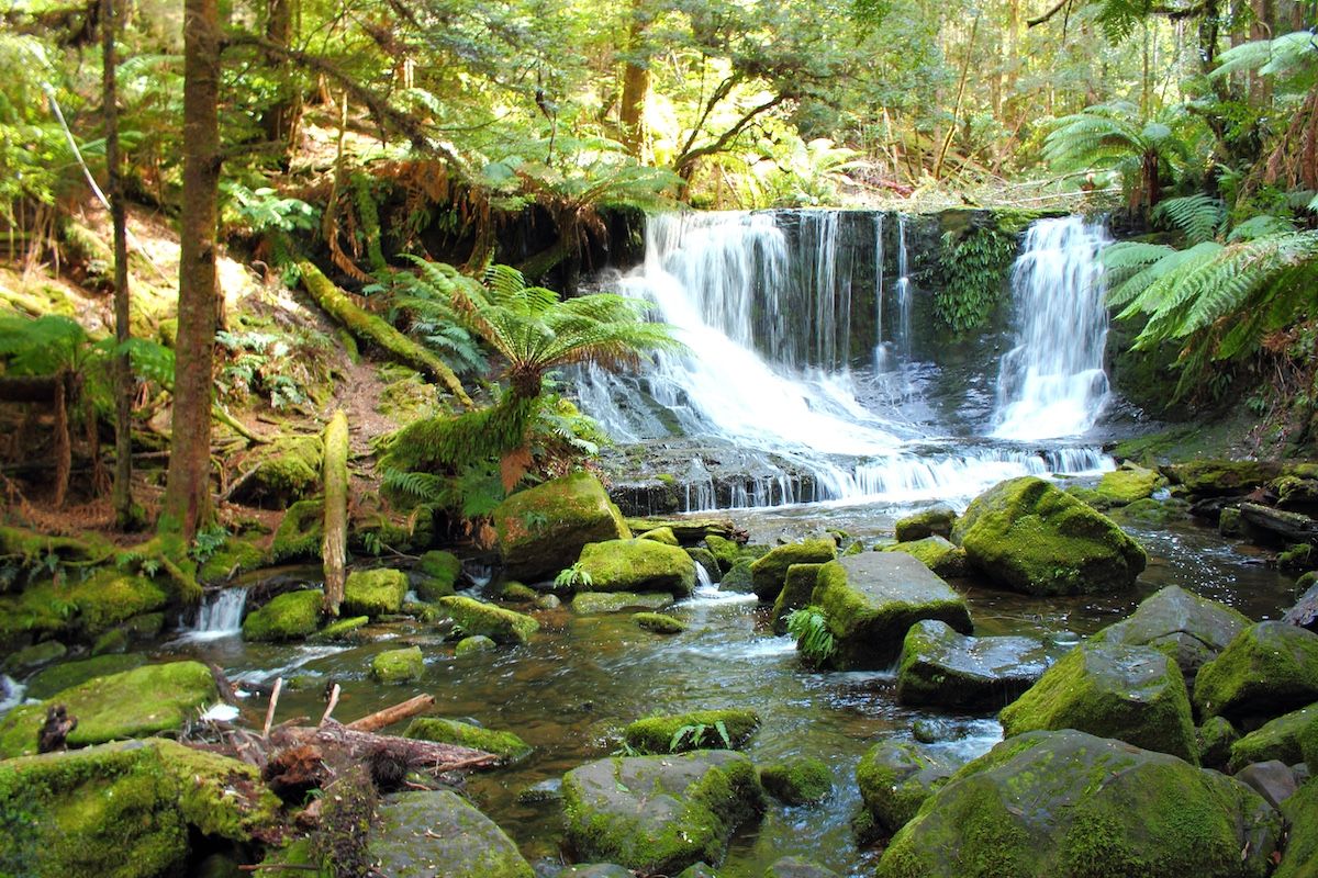 Senderos de cascadas