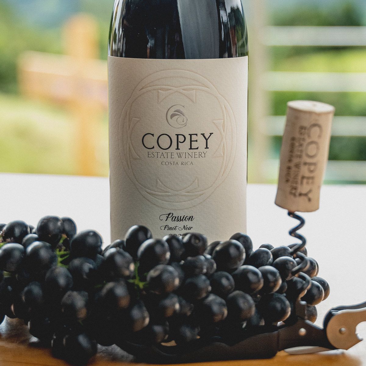 Copey Wine Tour