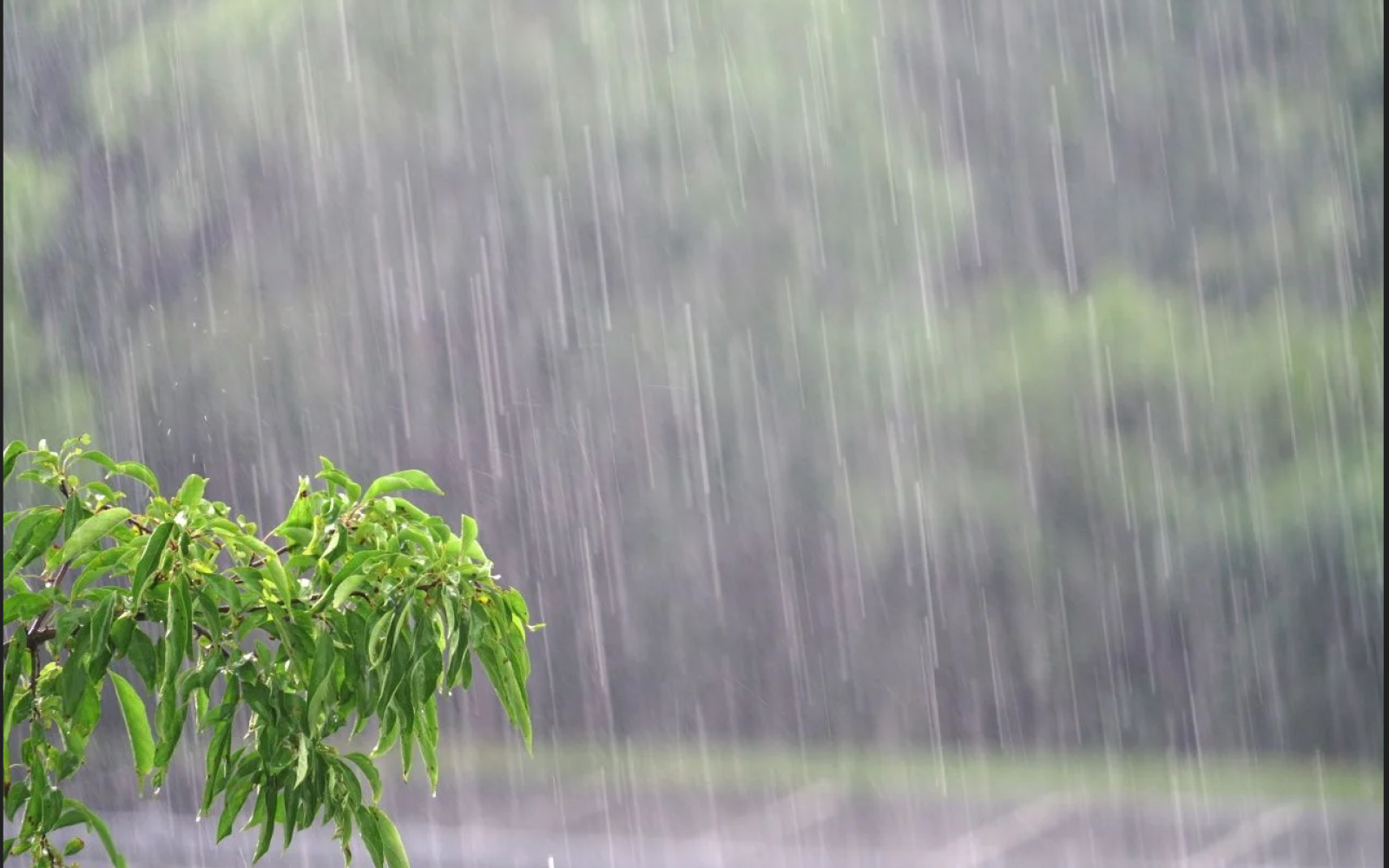 Tropical rain weather