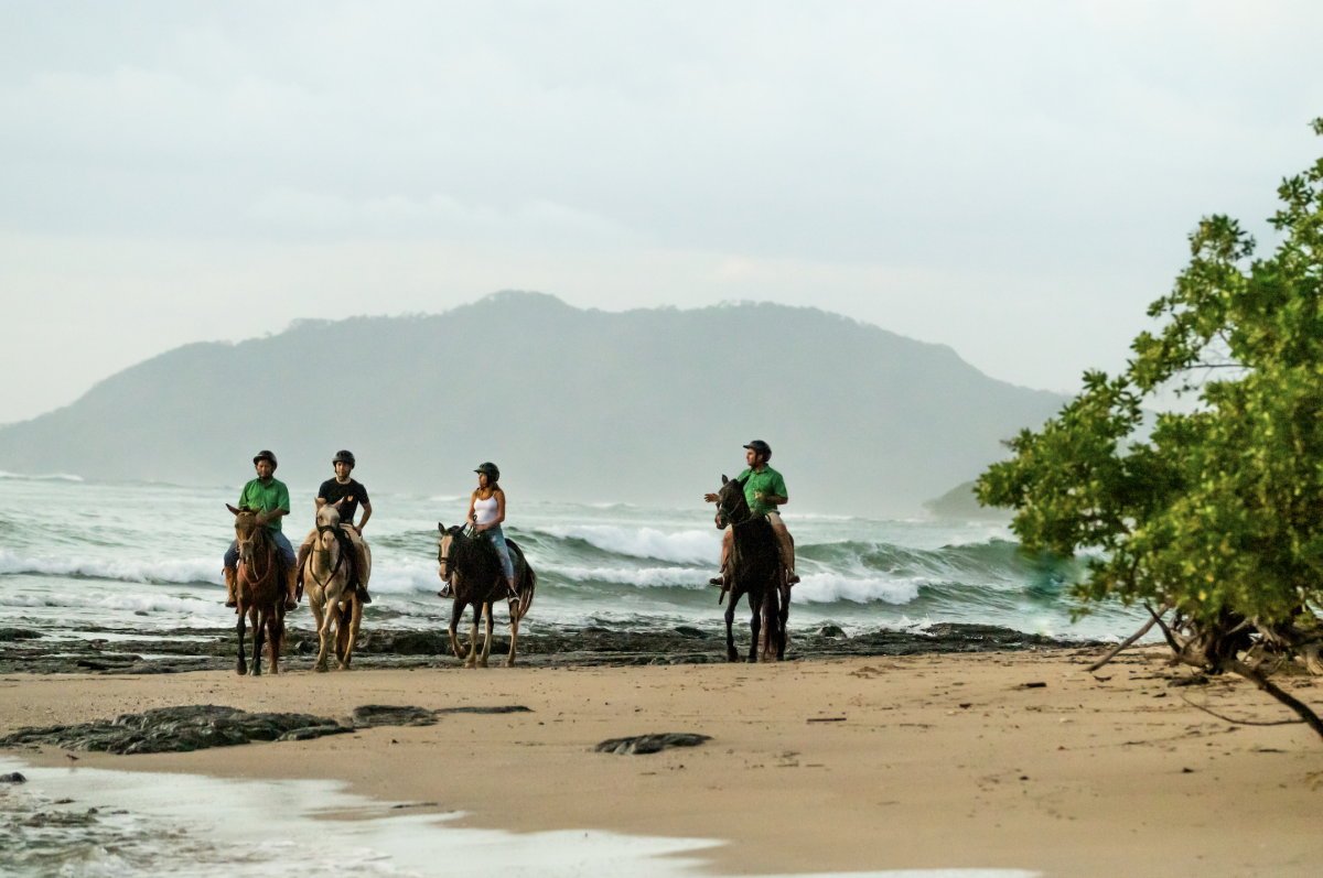 Horseback Riding