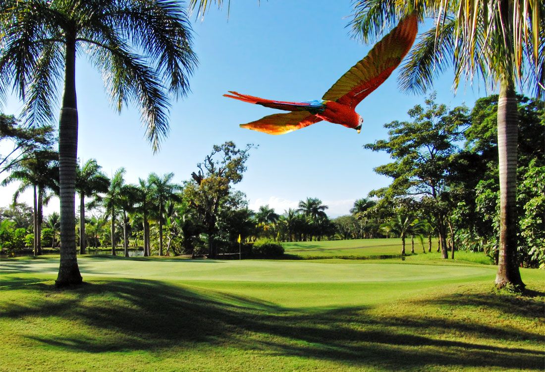 Los Delfines Golf & Country Club