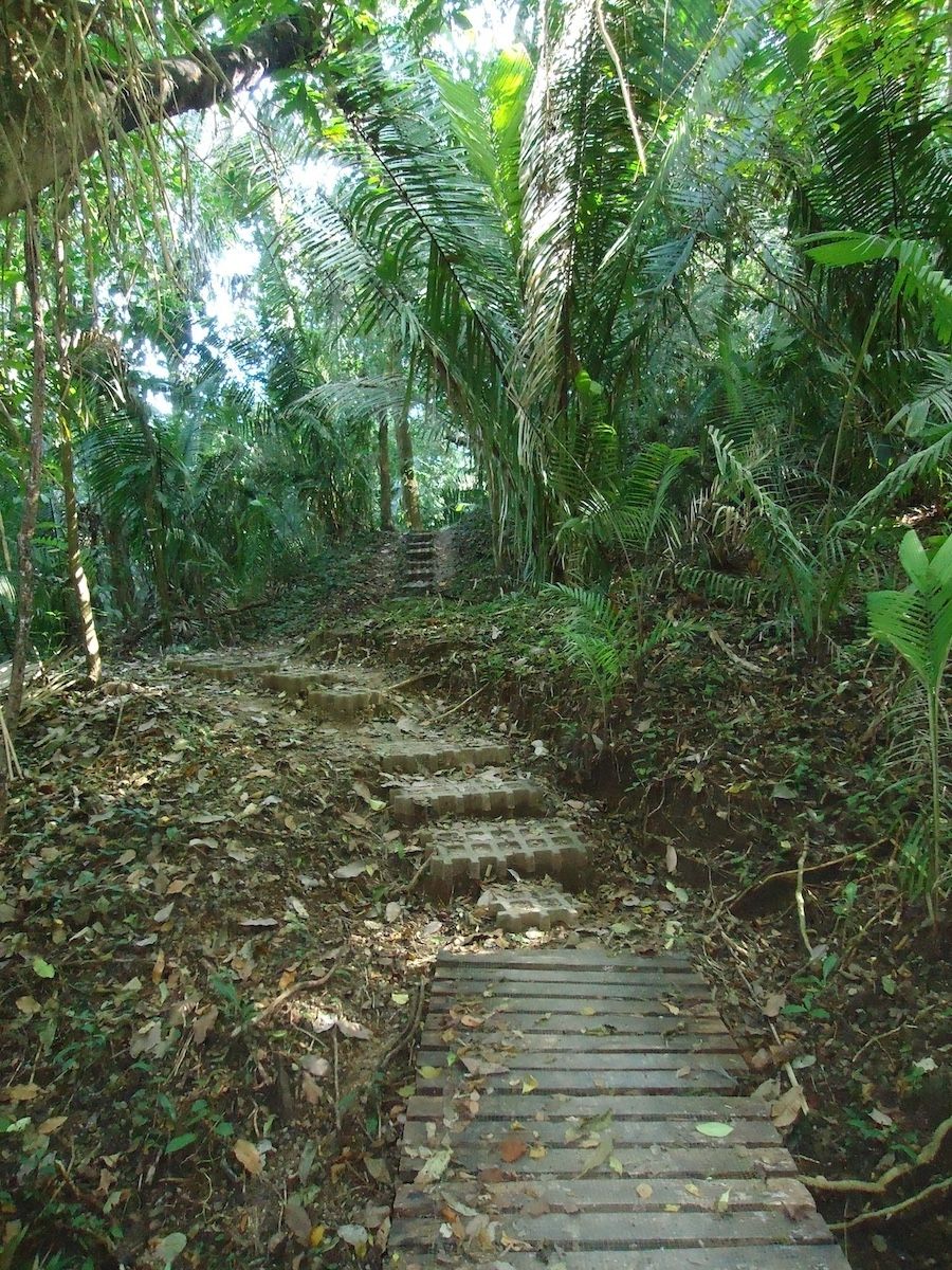 Cabo Blanco Absolute Natural Reserve