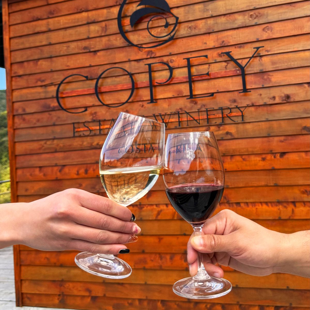 Copey Wine Tour