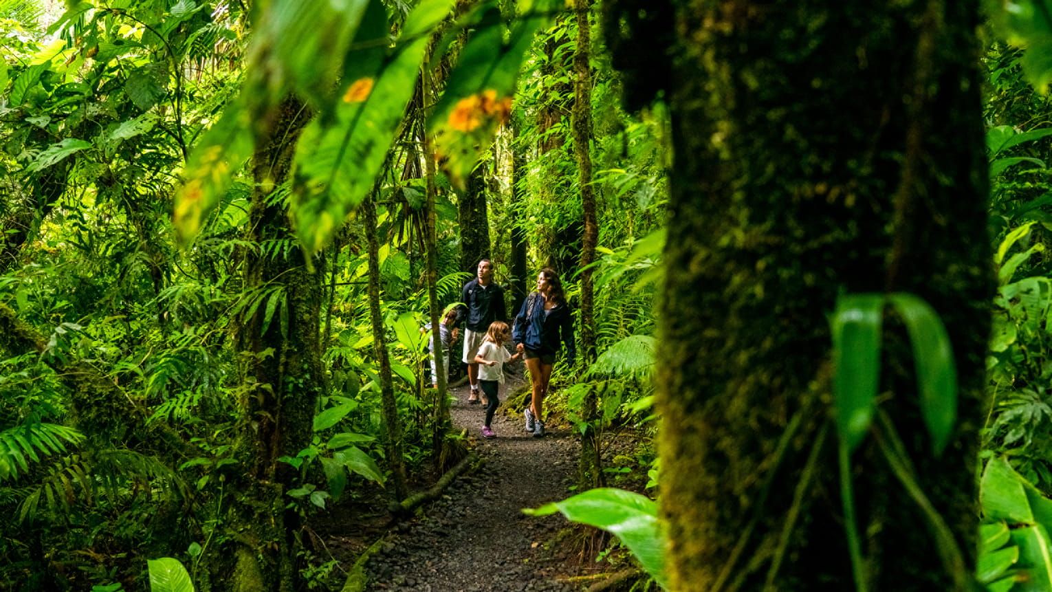 Caminata por la naturaleza en Palmares