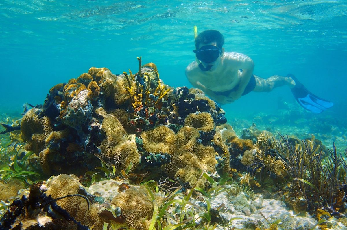 Barco para snorkel Flamingo Beach