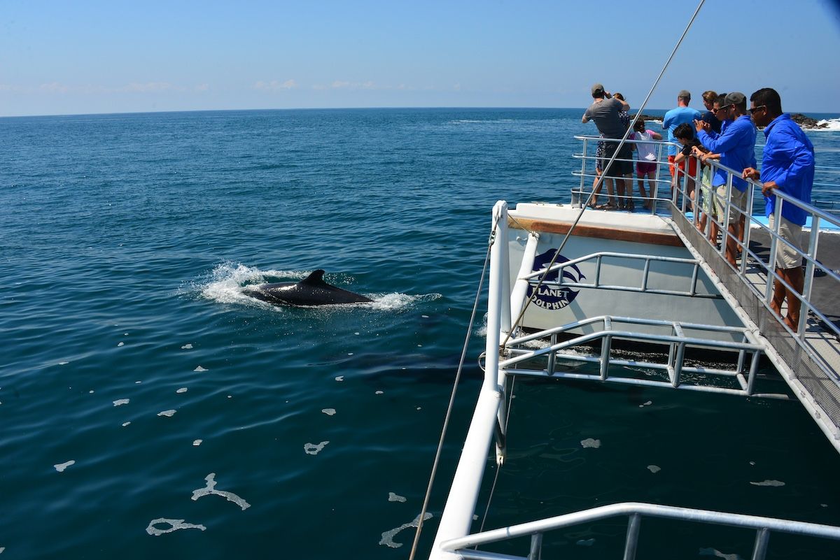 Sealounge Catamaran Costa Rica